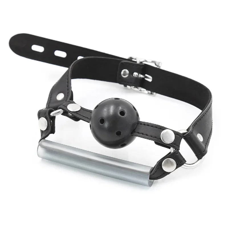 Double Buckle Design Ball Gag