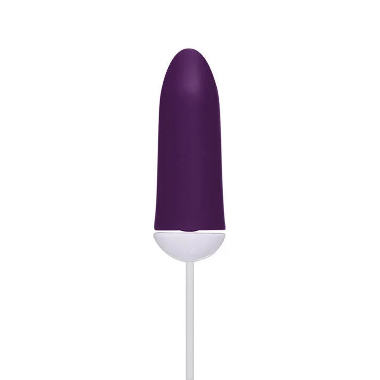 lovers-just-the-tip-vibrator-kit