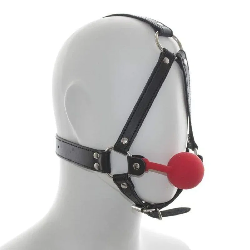 Masochist's Ball Gag Mask