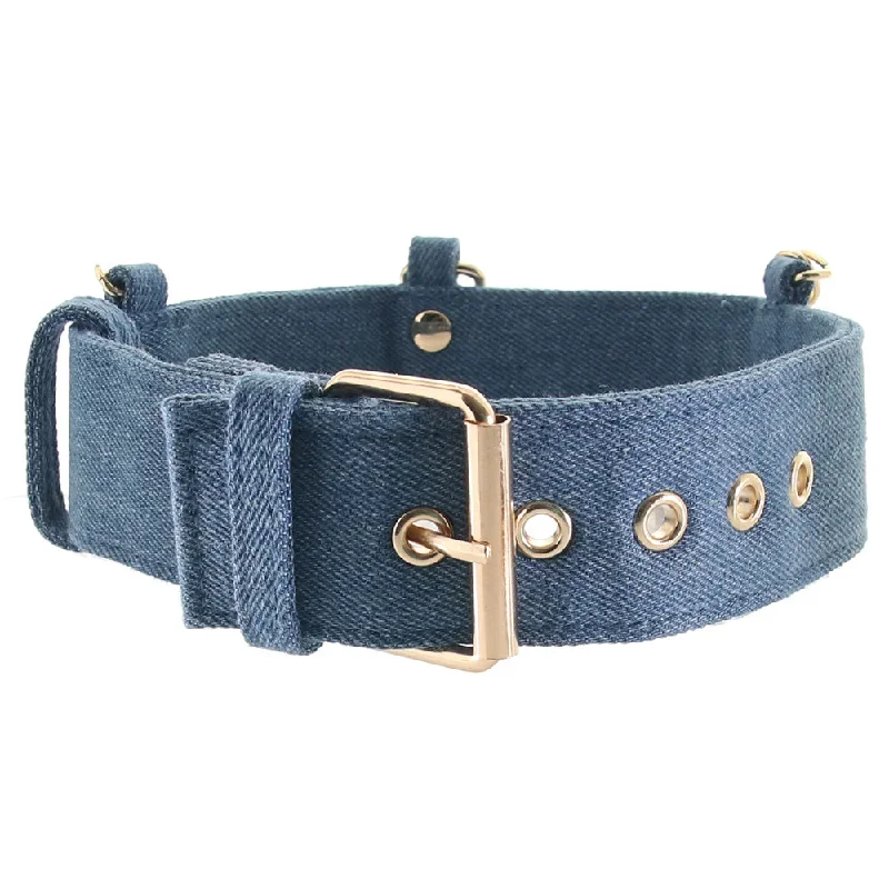 ride-em-denim-collar-with-leash