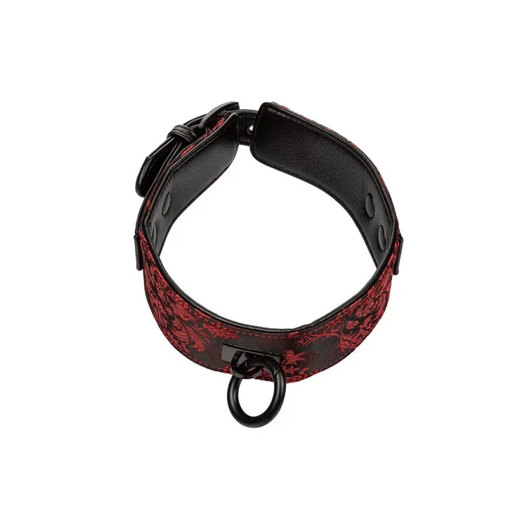 scandal-collar-with-leash