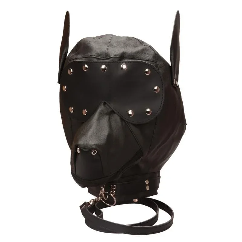 Studded Dog Gimp